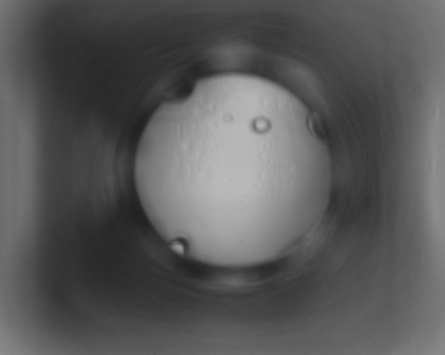X0000100770171200807031218