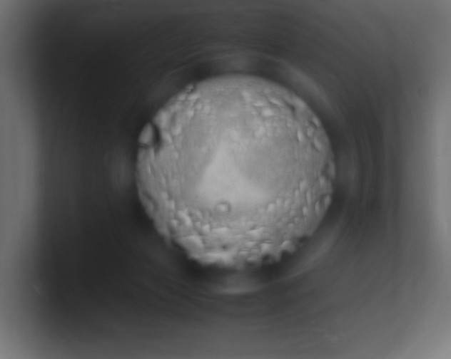 X0000100770173200807031218