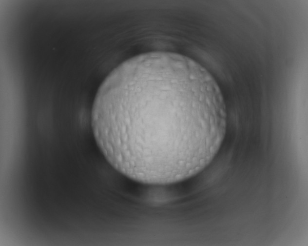 X0000100770177200807031218