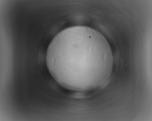 X0000100770178200807031218