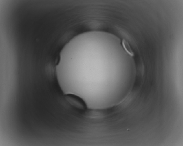 X0000100770180200807031218