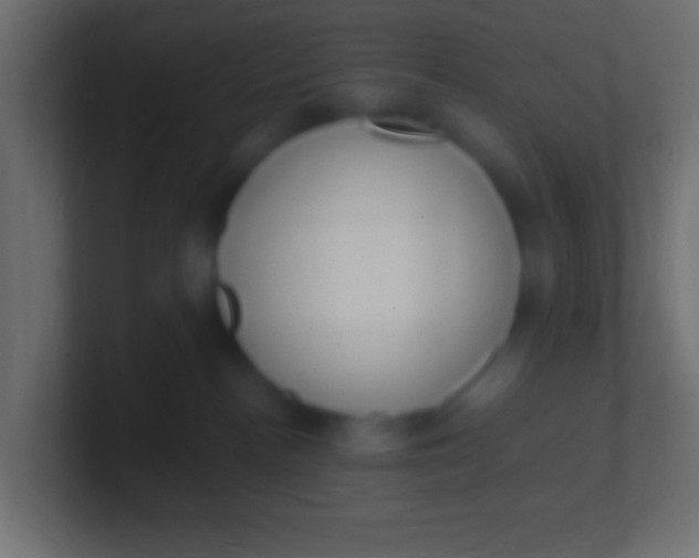 X0000100770188200807031218