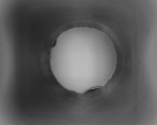X0000100770192200807031218