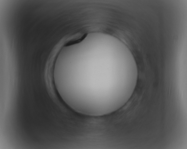 X0000100770193200807031217