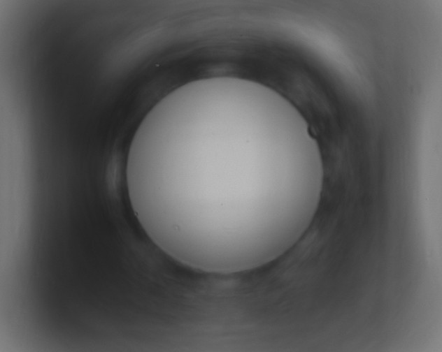 X0000100770194200807031217