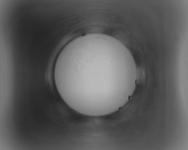 X0000100770195200807031217