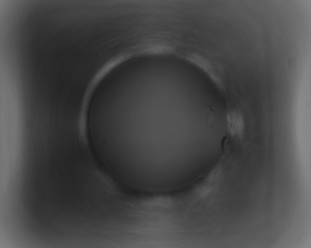 X0000100770196200807031217