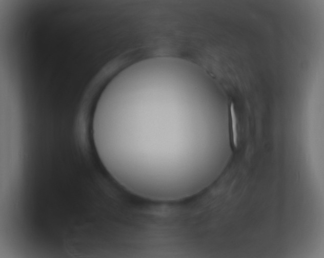 X0000100770197200807031217