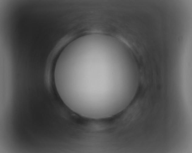 X0000100770199200807031217