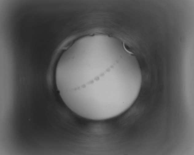 X0000100770200200807031217