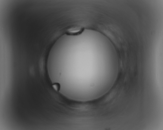 X0000100770201200807031217
