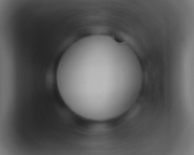 X0000100770202200807031217