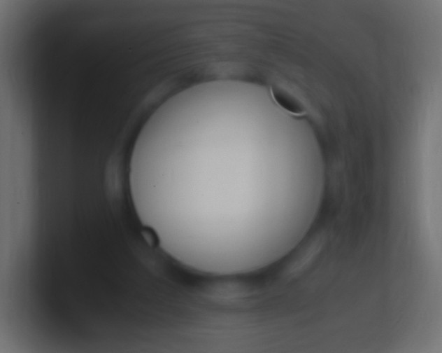 X0000100770203200807031217