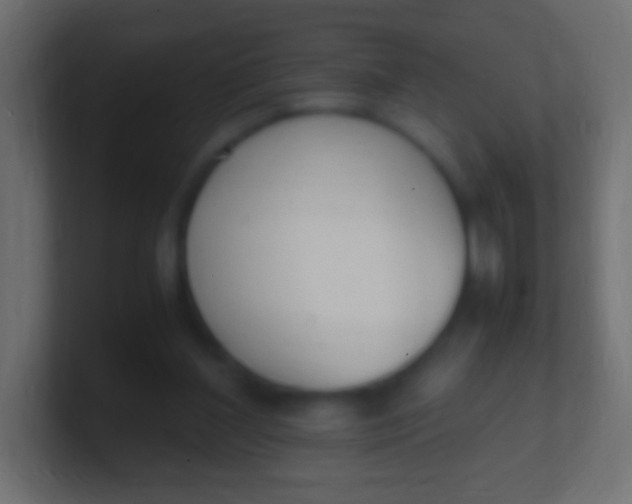 X0000100770204200807031217