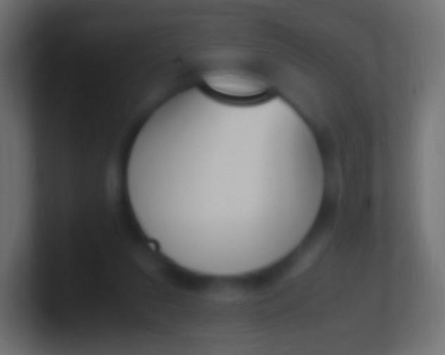 X0000100770207200807031217