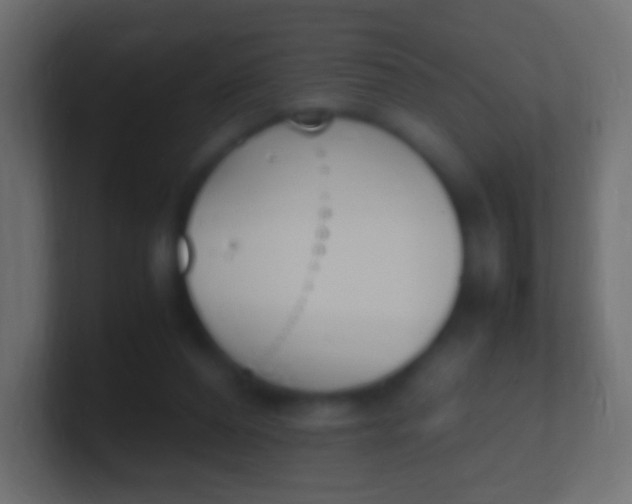 X0000100770208200807031217