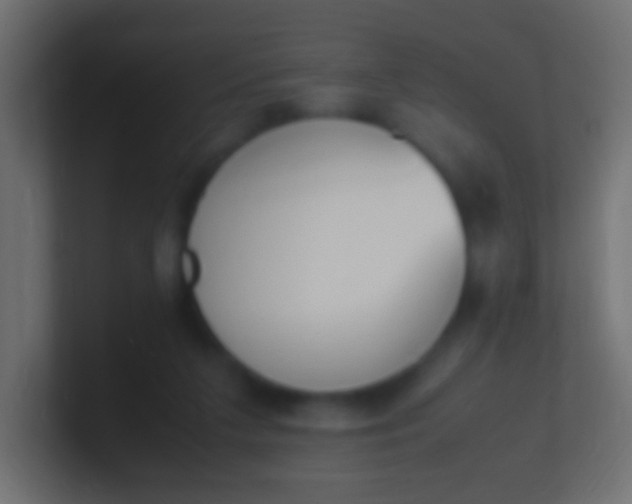 X0000100770211200807031217