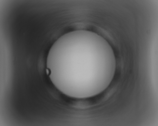 X0000100770215200807031217