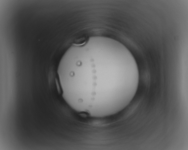X0000100770220200807031217