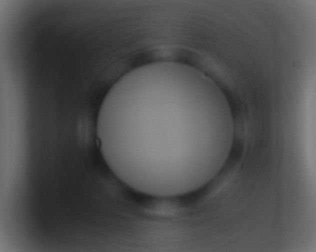 X0000100770223200807031217