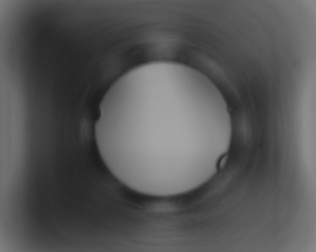 X0000100770224200807031217