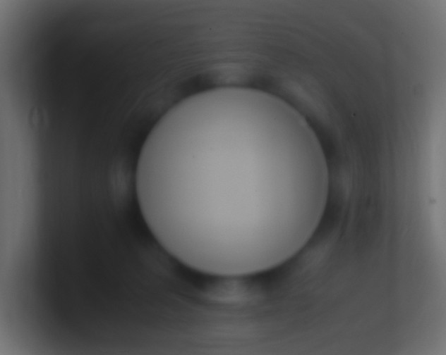 X0000100770227200807031217