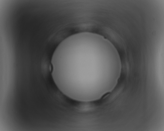 X0000100770231200807031217