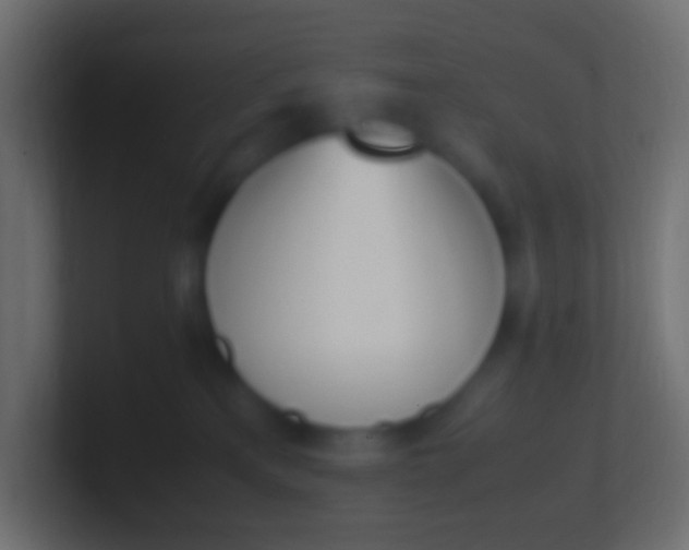 X0000100770233200807031217