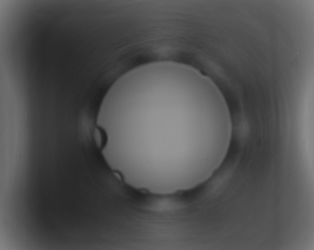 X0000100770235200807031217