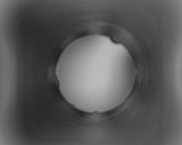 X0000100770237200807031217
