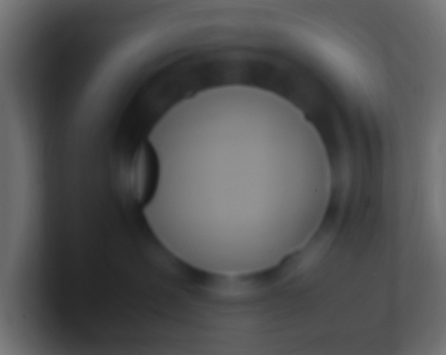 X0000100770239200807031217