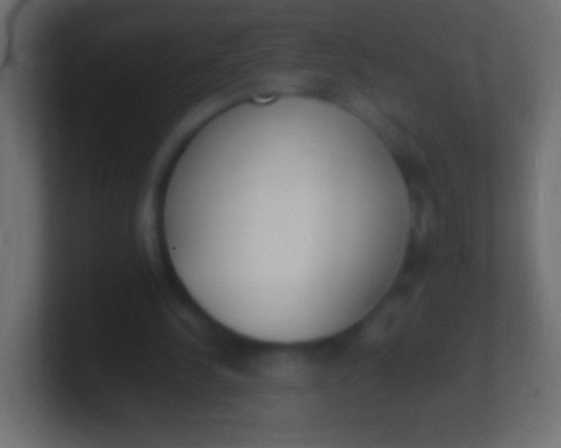 X0000100770244200807031216