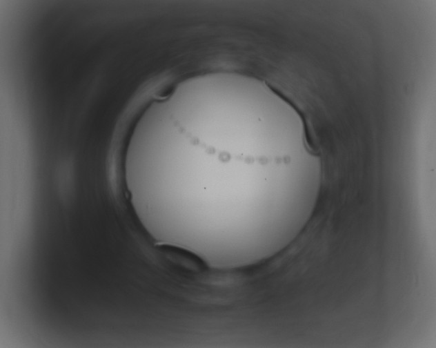 X0000100770245200807031216