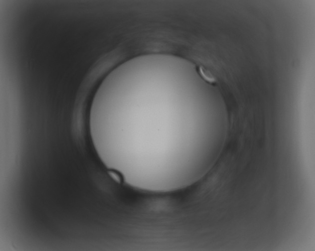 X0000100770247200807031216