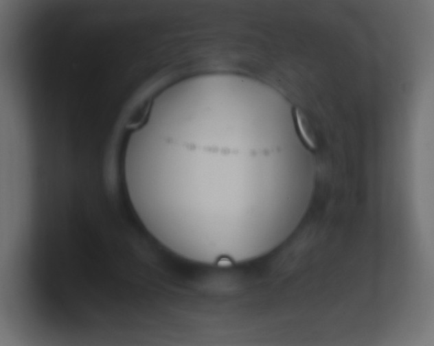 X0000100770248200807031216