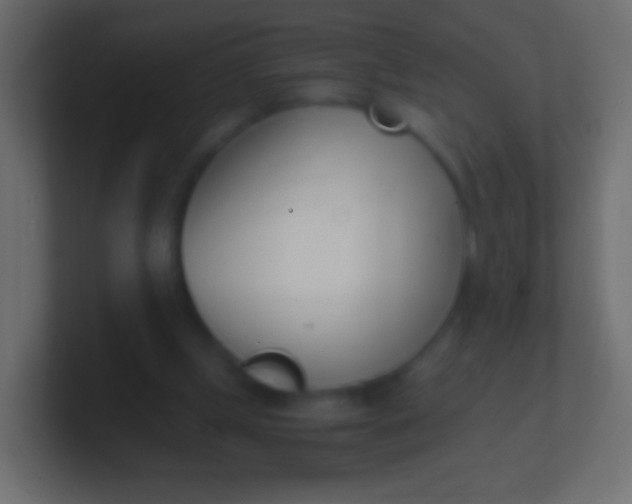 X0000100770249200807031216