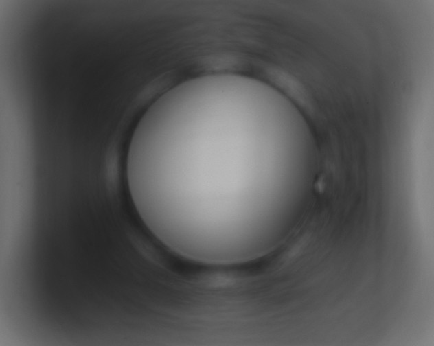 X0000100770250200807031216