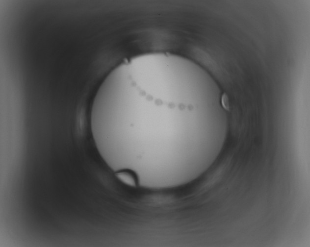 X0000100770251200807031216