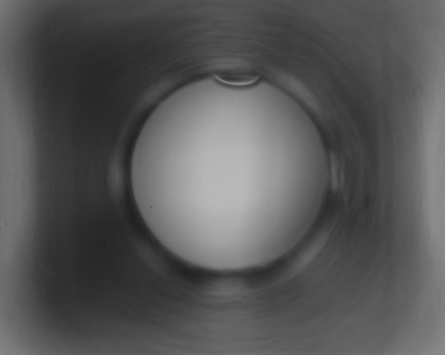 X0000100770252200807031216