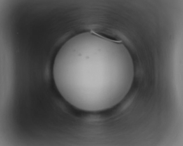 X0000100770256200807031216