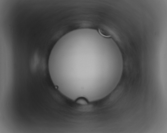 X0000100770257200807031216
