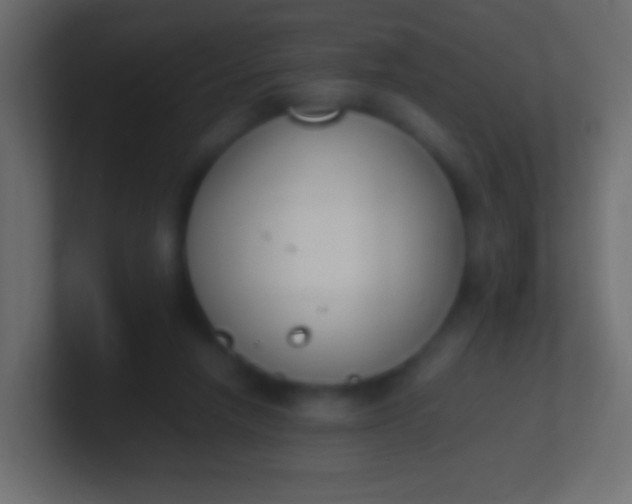 X0000100770258200807031216