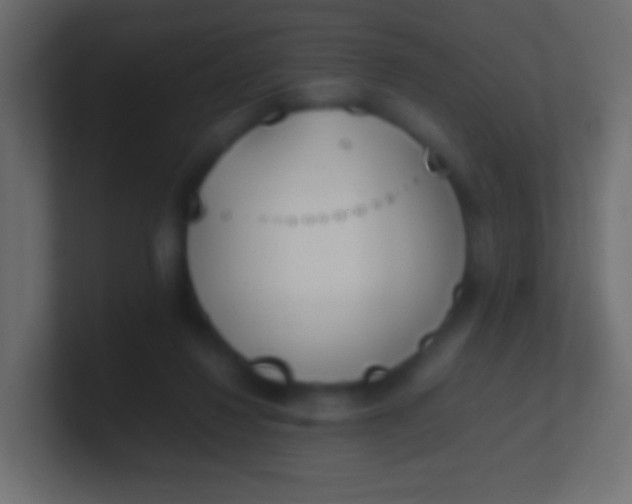 X0000100770260200807031216