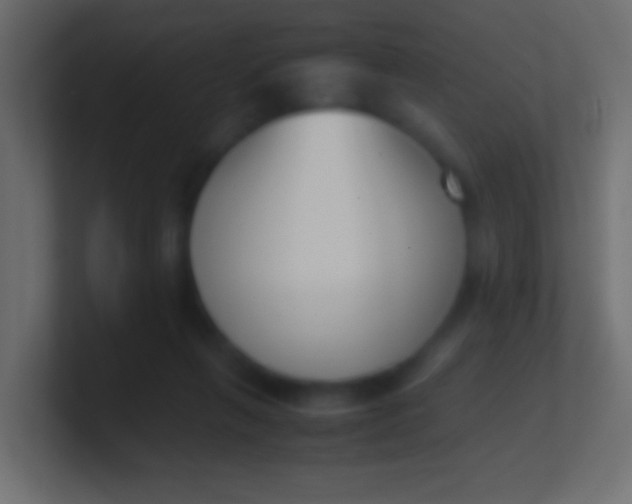 X0000100770263200807031216