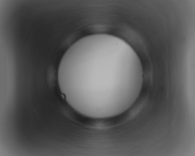 X0000100770264200807031216