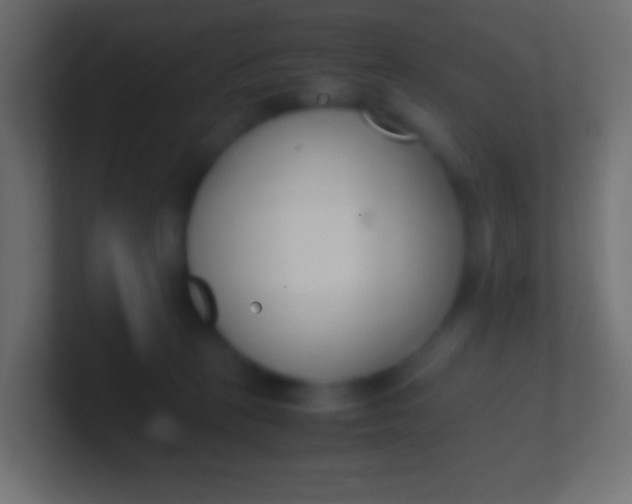 X0000100770273200807031216