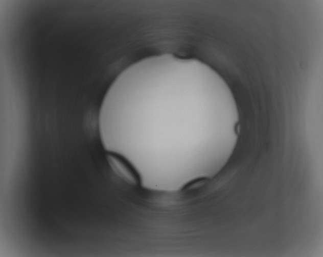 X0000100770288200807031217