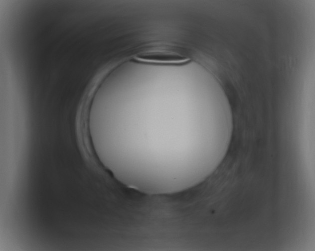 X0000100770289200807031216