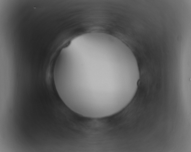 X0000100770290200807031216