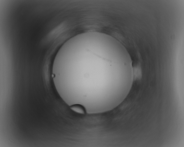 X0000100770291200807031216